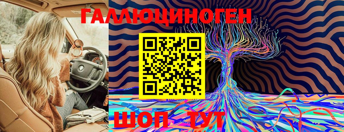 Псилоцибиновые грибы Magic Shrooms  Вход с VPN  Лесной 